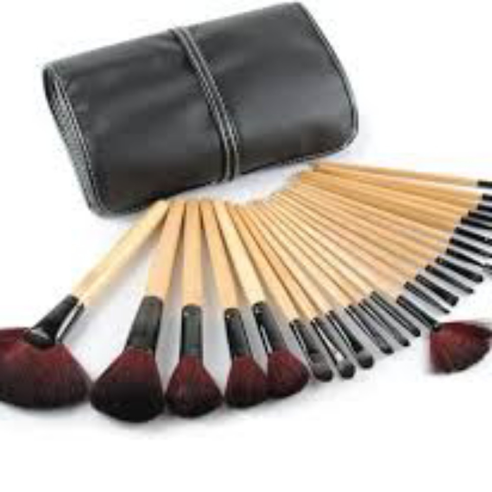 Pro 24 pc Makeup Brush Set w/ Case *Free Gift*